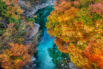 秋の紅葉と清流