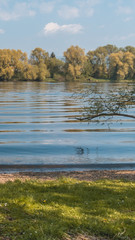 Smartphone HD wallpaper of beautiful reflections near Stephansposching - Danube - Bavaria - Germany