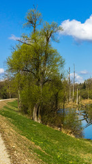 Smartphone HD wallpaper of beautiful view near the isar mouth - Moos - Bavaria - Germany