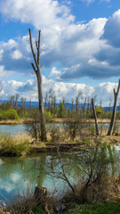 Smartphone HD wallpaper of beautiful view near the isar mouth - Moos - Bavaria - Germany
