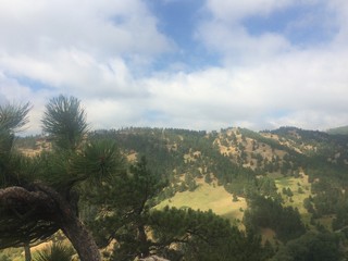  American mountainwith green fern trees