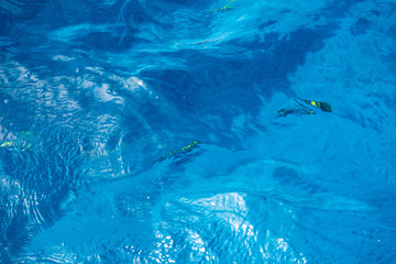 Fototapeta premium Waves in Red sea
