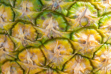 close up of fresh ripe pineapple bark texture background