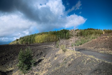 Autumnal Landscape In Etna Park, Sicily