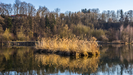 Beautiful view near Zeholfing-Isar-Bavaria-Germany
