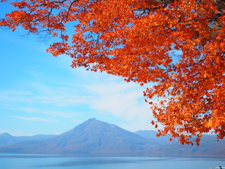 北海道 支笏湖の紅葉風景