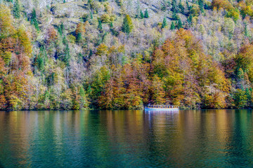 fall colors of autumn