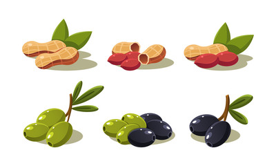 Fresh olives and peanut, vegetarian healthy organic products set vector Illustration on a white background