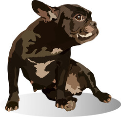 French Bulldog cute dog, vector illustration