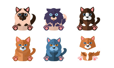 Fototapeta premium Cats of different breeds set, cute cartoon animals pets sitting vector Illustration on a white background