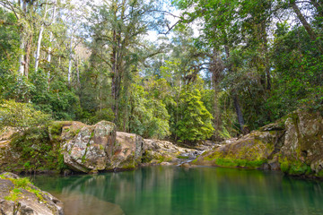 Ladies Well and Rainforest