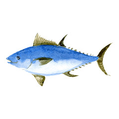 Tuna fish. Watercolor illustration. vector - 230962829