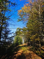 wanderweg auf dem pöhlberg