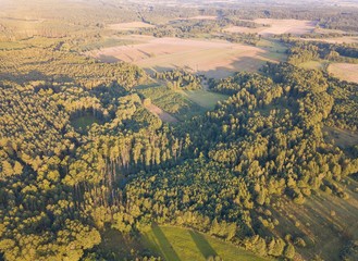 Wild forest landscape photographed from drone
