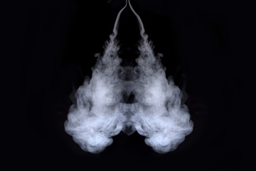 lungs of smoke on  black background