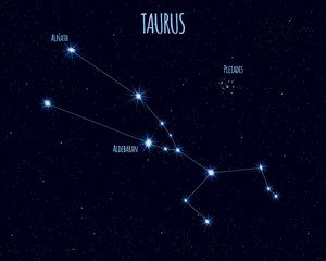 Taurus (The Bull) constellation, vector illustration with the names of basic stars against the starry sky
