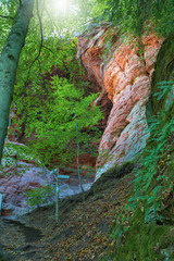 Die Genovevahöhle 