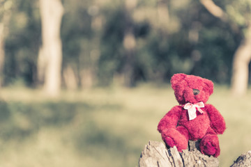 teddy bear sitting lonely on ruins wood with tone