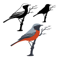 The bird sits on the branch. Vector illustration