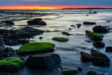 Sunrise at Long Reef Point, Sydney, Australia. Morning glow with green mossy rocks.