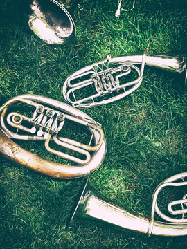 Set of old musical instruments.