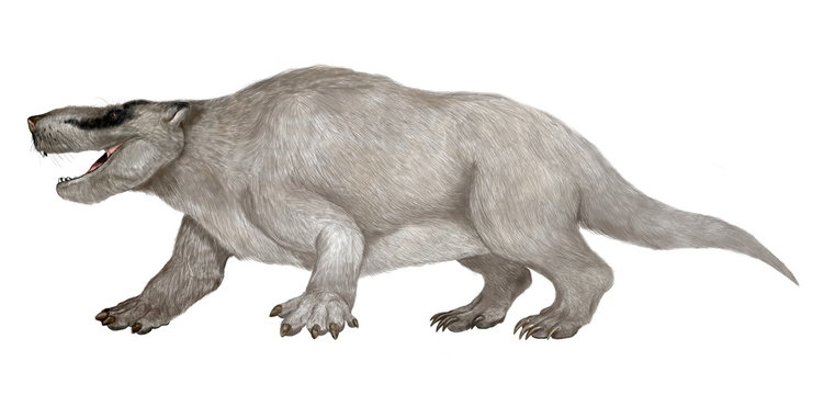 レペノマムス　古代の哺乳類 白亜紀前期　生息地域　中国　臼歯がなく、前歯が尖り、大きく、丈夫な顎を持つ。捕食性の肉食獣とおもわれる。 初期の哺乳類は小型で、恐竜の格好の獲物であったが、このレペノマムス・ギガンティクスは大型犬ほどの大きさがあり、食物連鎖上小型の草食恐竜を捕食可能な位置にいた。イラストは捕食性哺乳類として描いている。