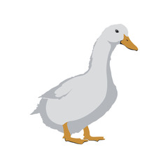 Goose Stock Vector illustration