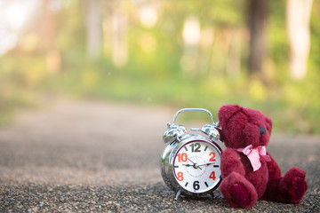 teddy bear sit back retro alarm clock on concete road in garden with tone