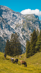 Smartphone HD wallpaper of alpine view at the Zwoelferkopf summit