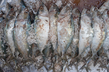 Raw fish ferment with salt. Food preservation in fresh market.