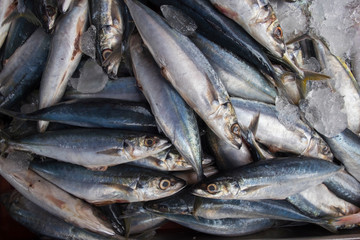 Fototapeta premium Top view of raw fish in fresh market. Freshness raw fish in seafood market.