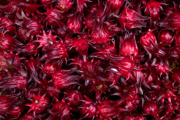 Background and texture of red roselle. Pile of red roselle for make healthy beverage.