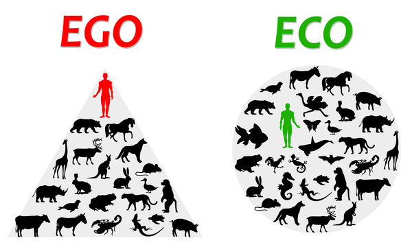 ego and eco