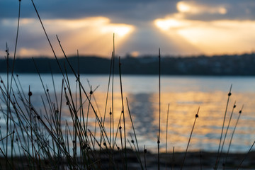 Sunrays at sunrise on Sydney Harbour, Australia