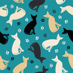 Naklejka na ściany i meble Seamless pattern with colorful cats and traces. 