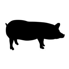 isolated silhouette of a pig