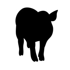 vector, isolated silhouette of a pig