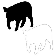 silhouette of a pig, isolated, outline