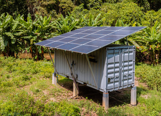 Solar cell is suitable for use on the jungle
