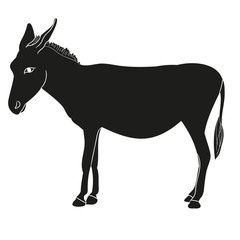 vector, isolated silhouette of a donkey