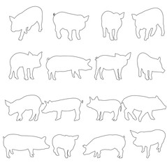 vector, isolated contour pig set
