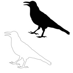 silhouette bird crow, sketch isolated, vector