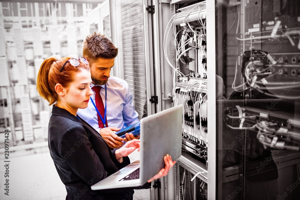 Poster technicians using laptop while analyzing server