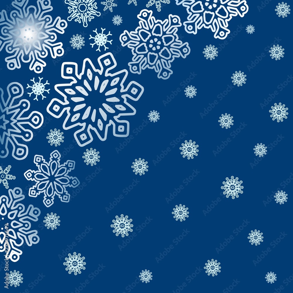Poster winter background with various snowflakes. vector graphic pattern.