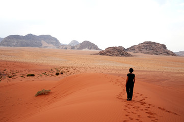 panoramic view of wadi rum desert lookin like mars planet with rocks and red sand