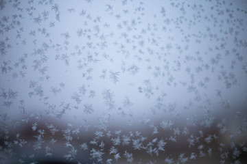 the icy glass of the car
