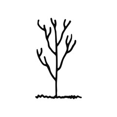 tree icon. isolated object sketch black on white background