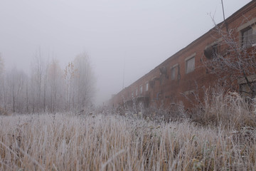 the old plant on a foggy day