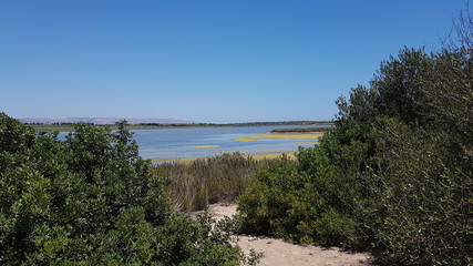 A rocky beach with sea waves and a clear sky on a sunny day.