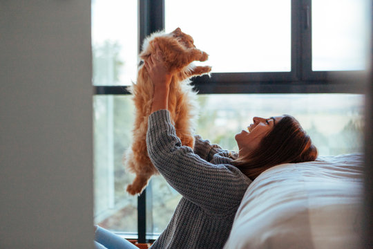 Revamp Your Life with a Furry Friend: Tips on Getting a Pet